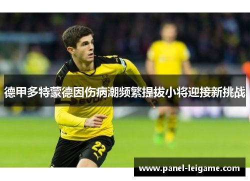 德甲多特蒙德因伤病潮频繁提拔小将迎接新挑战 德甲多特蒙德因伤病潮频繁提拔小将迎接新挑战