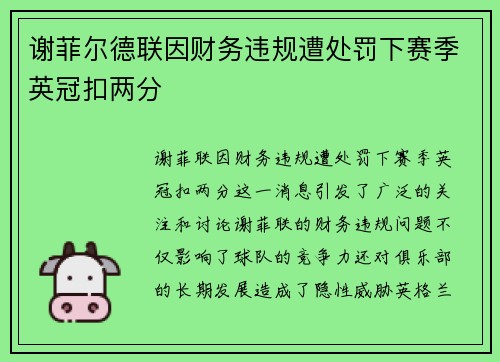 谢菲尔德联因财务违规遭处罚下赛季英冠扣两分 谢菲尔德联因财务违规遭处罚下赛季英冠扣两分